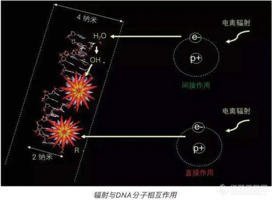 河南暴雨致医院仪器被淹，损失或达10亿，贵重设备为何放在一楼？