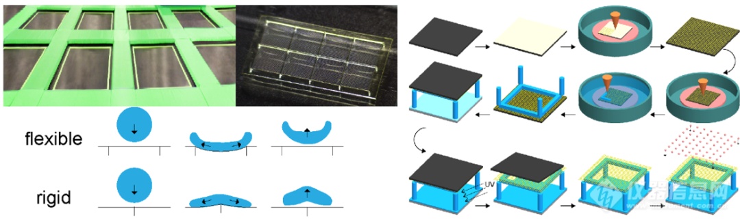 上海交大《ACS Applied Materials & Interfaces》：通过3D打印实现刚柔复合超疏水界面的制备