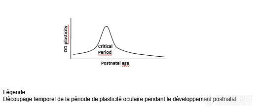 《Science》重塑成人大脑的可塑性