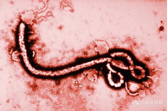 全自动毛细管Western Blot助力全球首款埃博拉疫苗ERVEBO®上市