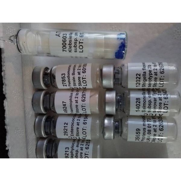 水质粪大肠菌群质控样品（滤膜法）