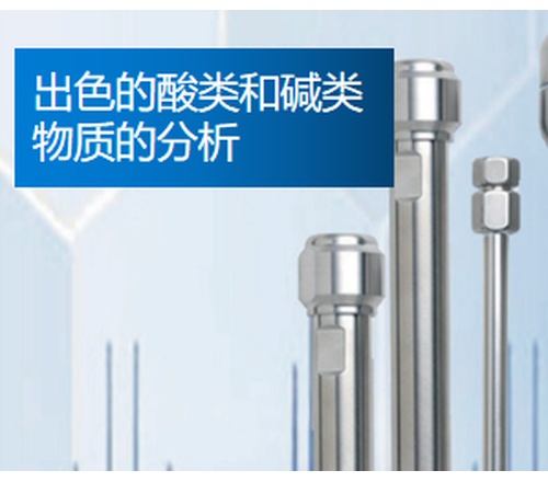 Chromegabond WR色谱柱（为酸类和ES Industries HPLC/UHPLC色谱柱 C18(ODS)柱