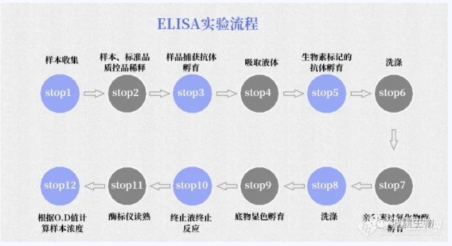 wb/elisa/ihc三大實驗,elisa(酶聯免疫吸附試驗)篇(一)_最新動態_上海