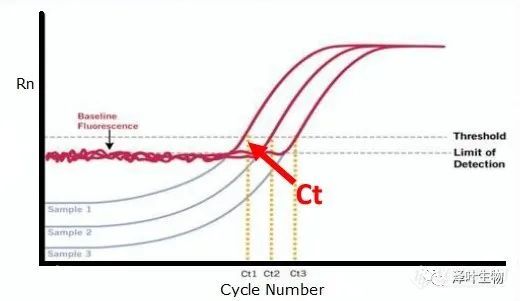 技术干货 | 实时荧光定量（qPCR）知多少