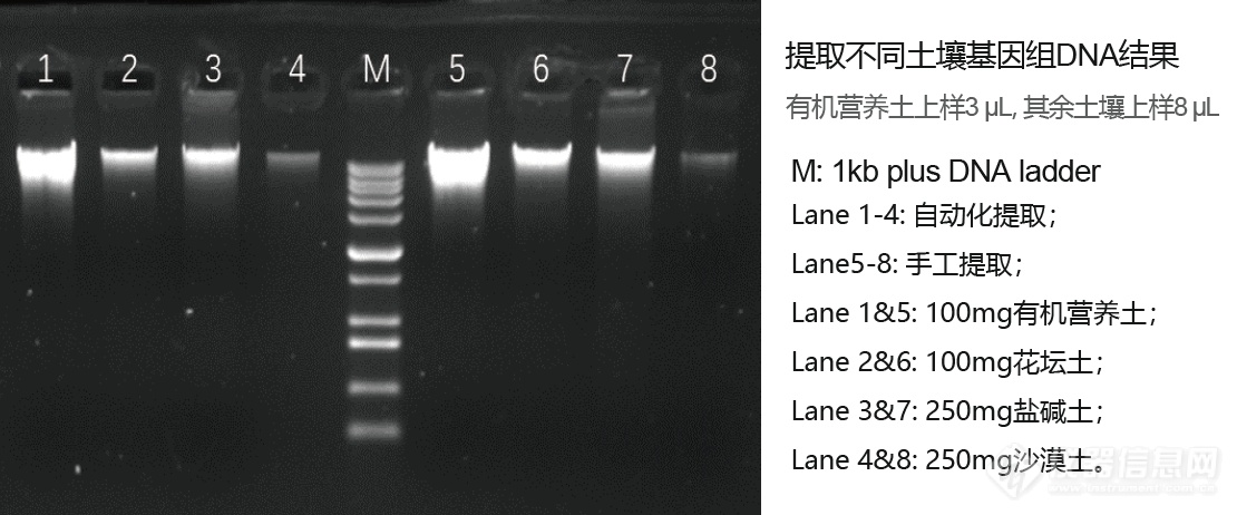 提取表2.png