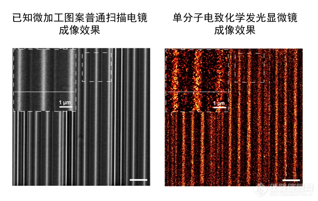 登上《自然》封面！新型单分子化学反应成像显微镜在浙大问世