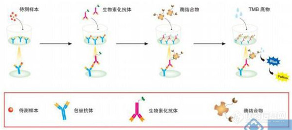 揭秘川源中国蓝绿藻监测“移动实验室”