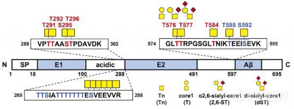 质谱检测新策略助力深度解析阿尔兹海默症相关糖蛋白APP的糖基化 