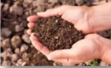 微波消解及萃取在土壤前处理中的应用