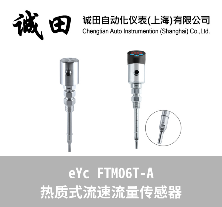 台湾eYc 热质式/工业流量计风速计风量计 FTM06T-A