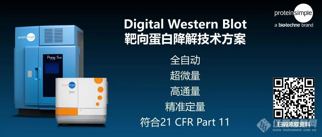 Digital Western Blot在领先靶向蛋白降解药物公司研发中应用