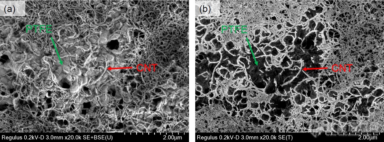 CNT和PTFE复合膜的SEM图像.jpg