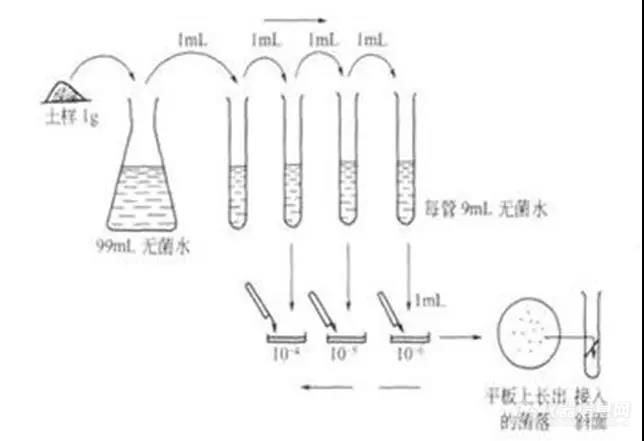 让我们看看微生物检测怎么做！