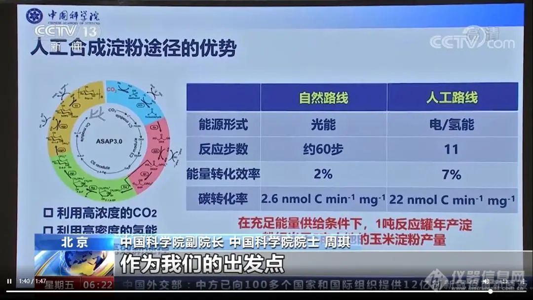 “人工淀粉”火爆全网 合成生物学开启 “造物”时代