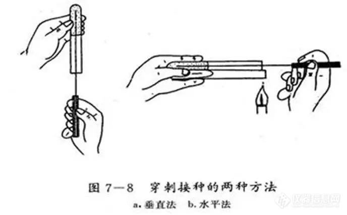 让我们看看微生物检测怎么做！