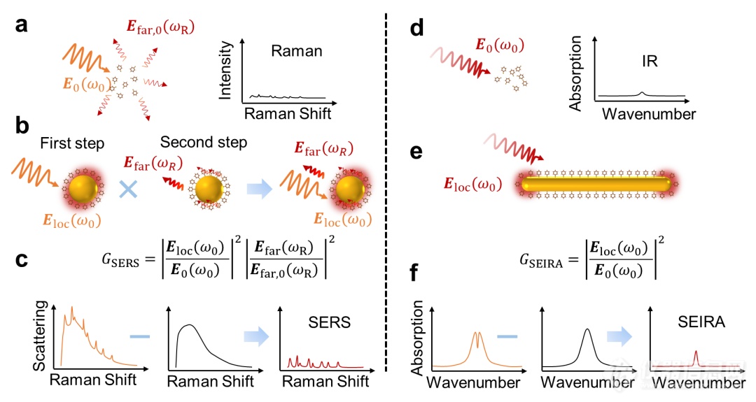 【赛纳斯】表面增强拉曼/红外光谱技术的进展与突破