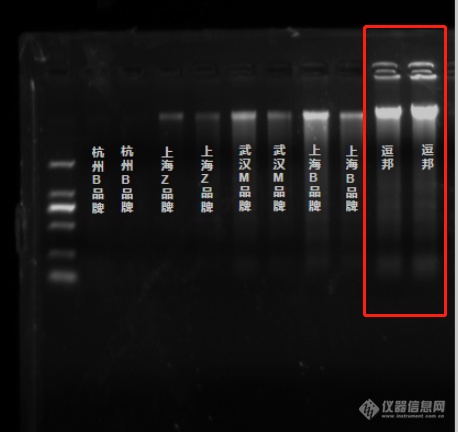 此图像的alt属性为空；文件名为image-10.png