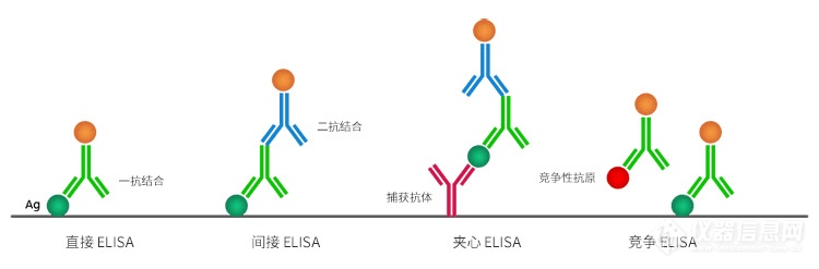elisa干货实验原理实验步骤注意事项