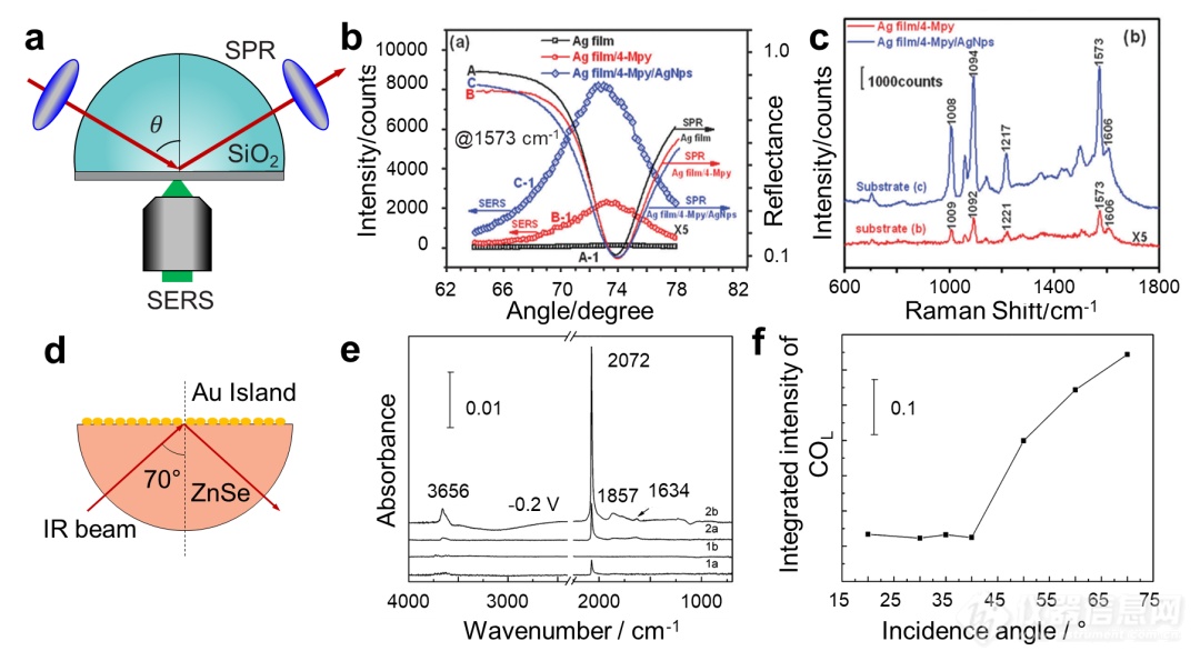 【赛纳斯】表面增强拉曼/红外光谱技术的进展与突破