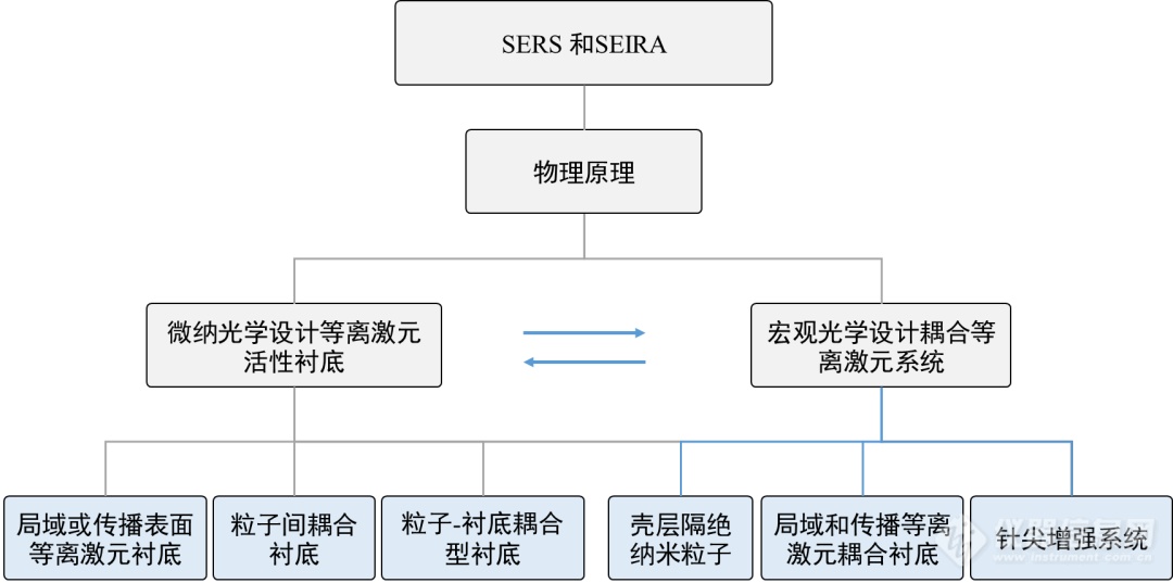 【赛纳斯】表面增强拉曼/红外光谱技术的进展与突破