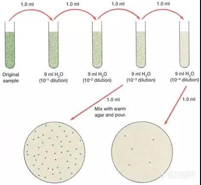 让我们看看微生物检测怎么做！