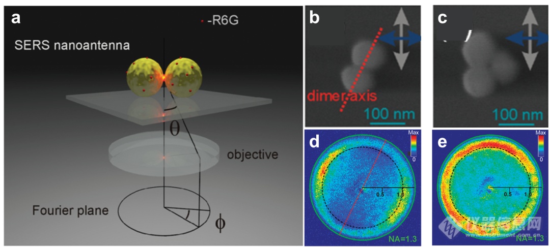 【赛纳斯】表面增强拉曼/红外光谱技术的进展与突破