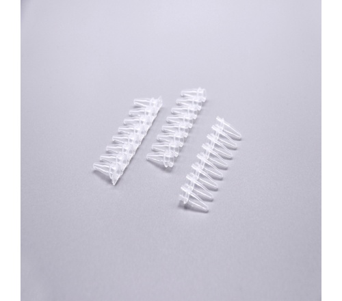 0.1ml PCR 8联排管，白色   1352006