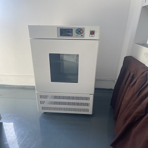 大鼠饲养箱RGX-150B智能人工气候箱