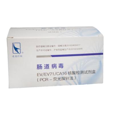 肠道病毒EV/EV71/CA16核酸检测试剂盒（PCR-荧光探针法）