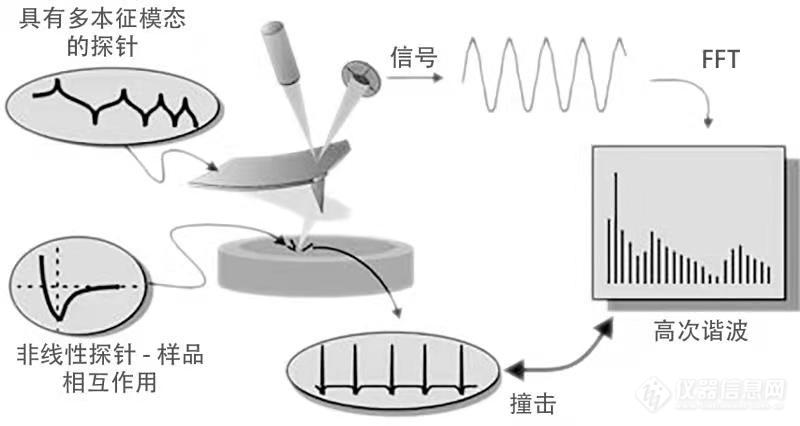 2021.10.21网络讲座.jpg