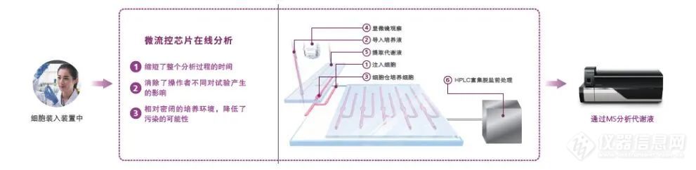 清华大学-岛津中国 成功举办第十期微流控芯片质谱联用细胞分析讲习会