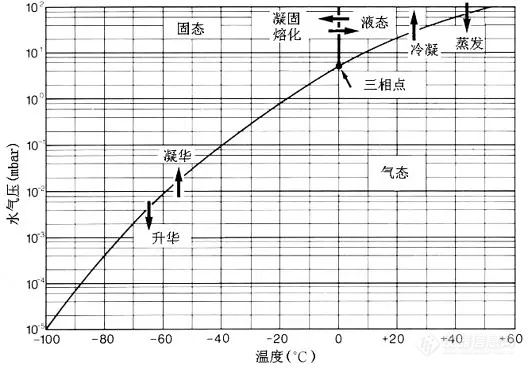 食品凍幹機的工作原理和應用