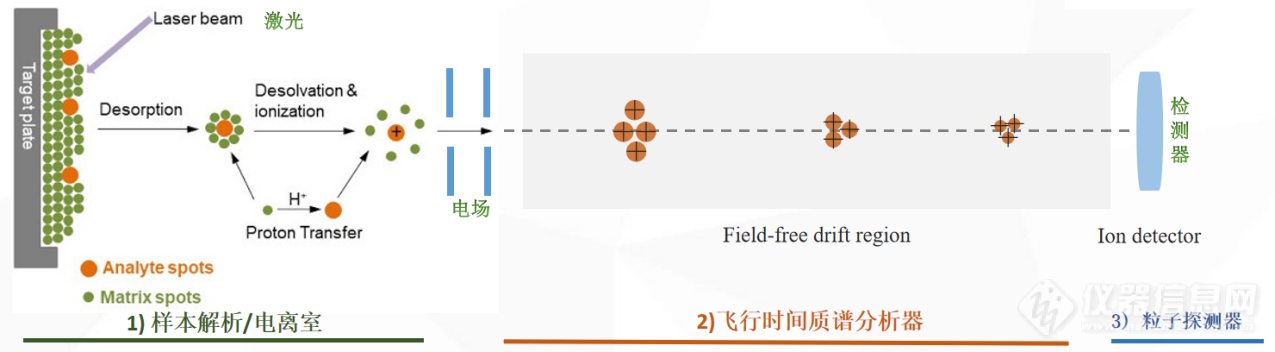 技术革新——质谱技术让微生物检测进入新纪元