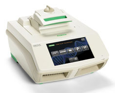 Bio-rad伯乐C1000/S1000双模块梯度PCR仪