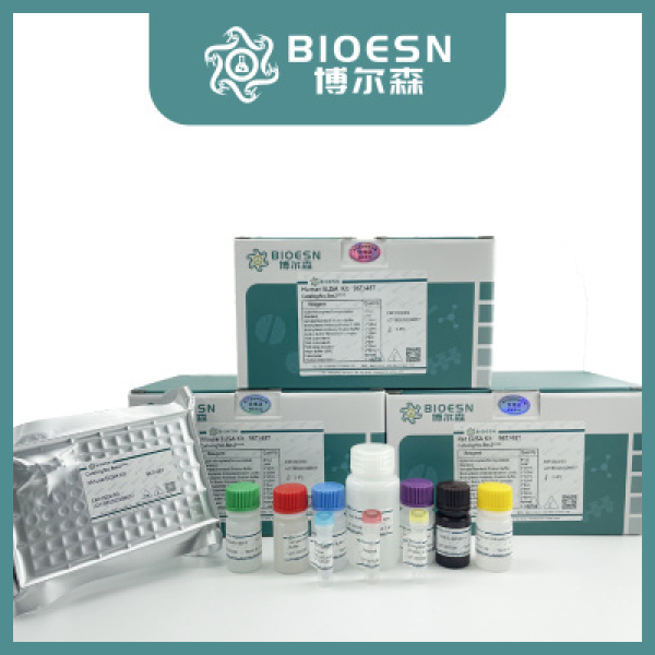 人白蛋白启动子D位点结合蛋白(DBP) ELISA Kit