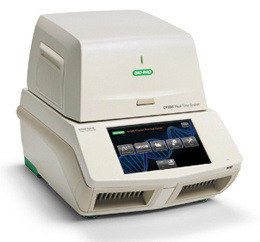 CFX96实时定量PCR仪