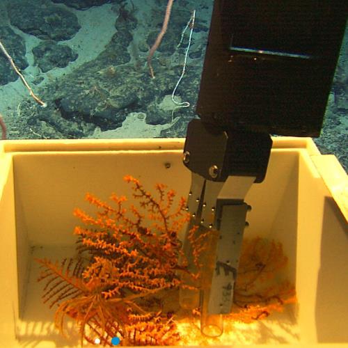 海洋科考行业北京汇海四方水下机器人作业 