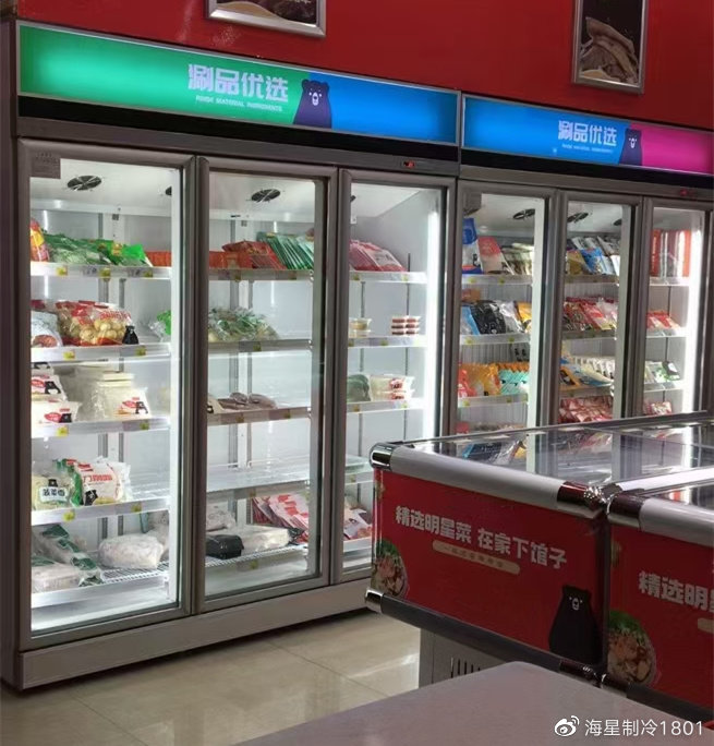 北京玻璃门冷冻冰柜生产厂家