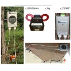 树木动态测量记录仪 DynaTim