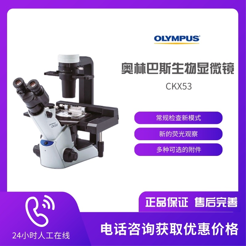 OLYMPUS奥林巴斯 CKX53生物显微镜 倒置显微镜