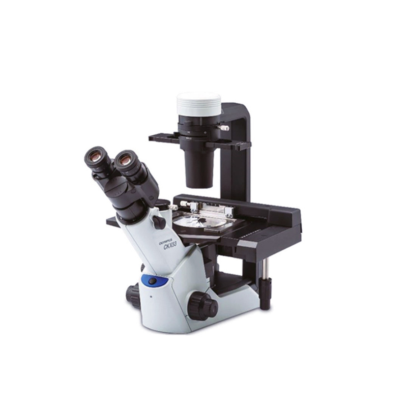 OLYMPUS奥林巴斯 CKX53生物显微镜 倒置显微镜