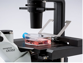 OLYMPUS奥林巴斯 CKX53生物显微镜 倒置显微镜