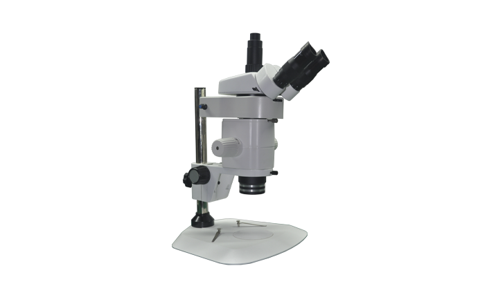 体视荧光显微镜 MZX80
