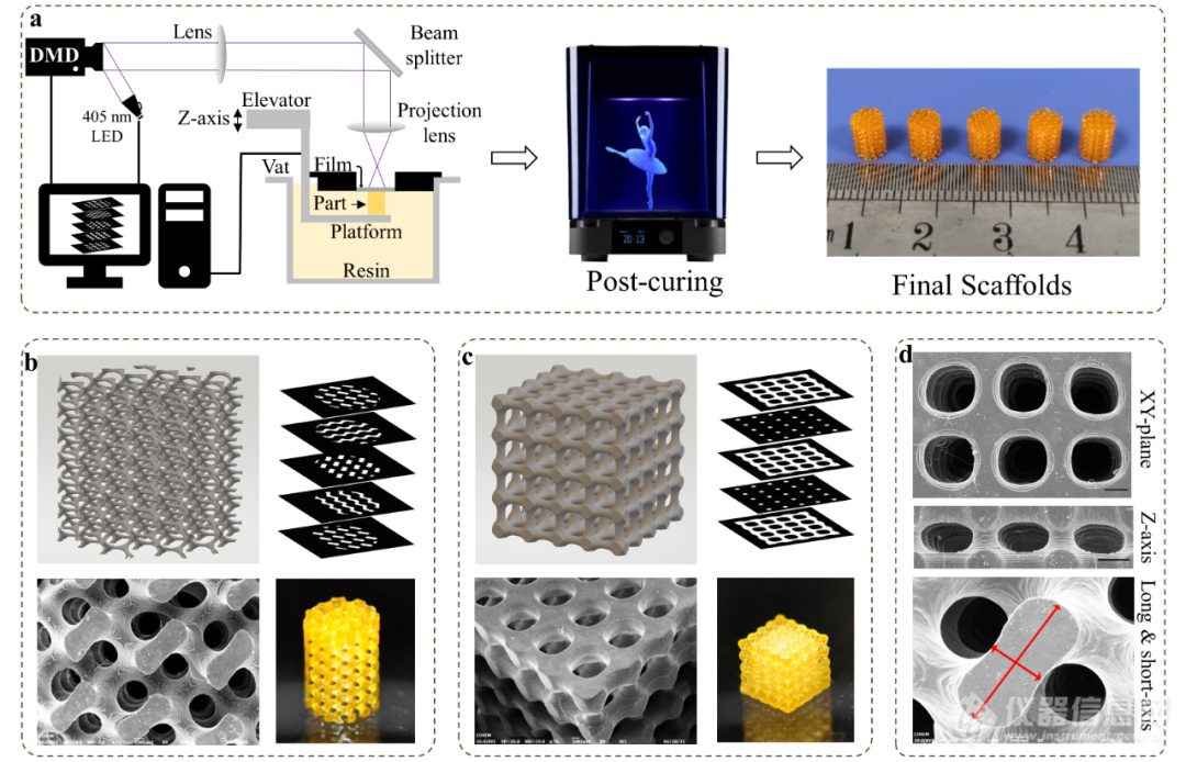 中山大学王山峰教授团队《Addit. Manuf.》：一种可超快打印组织工程支架的光固化树脂