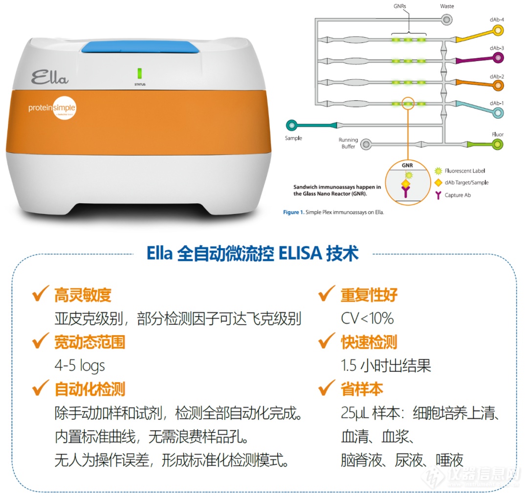 Ella全自动ELISA在神经领域上的应用