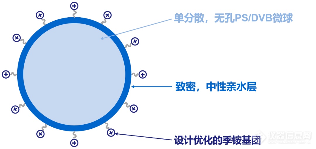 【新品发布】