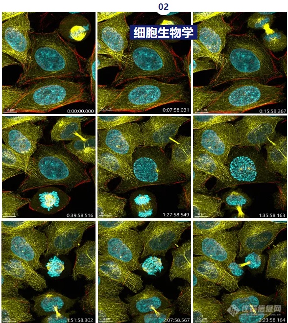 新品试用申请 | 一探究竟ANDOR台式共聚焦显微镜BC43