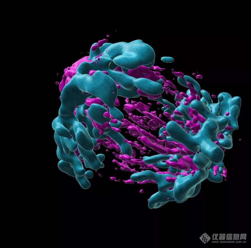 新品试用申请 | 一探究竟ANDOR台式共聚焦显微镜BC43