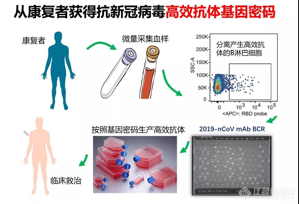 零死亡！我国新冠特效药“候选种子”三期临床已揭盲