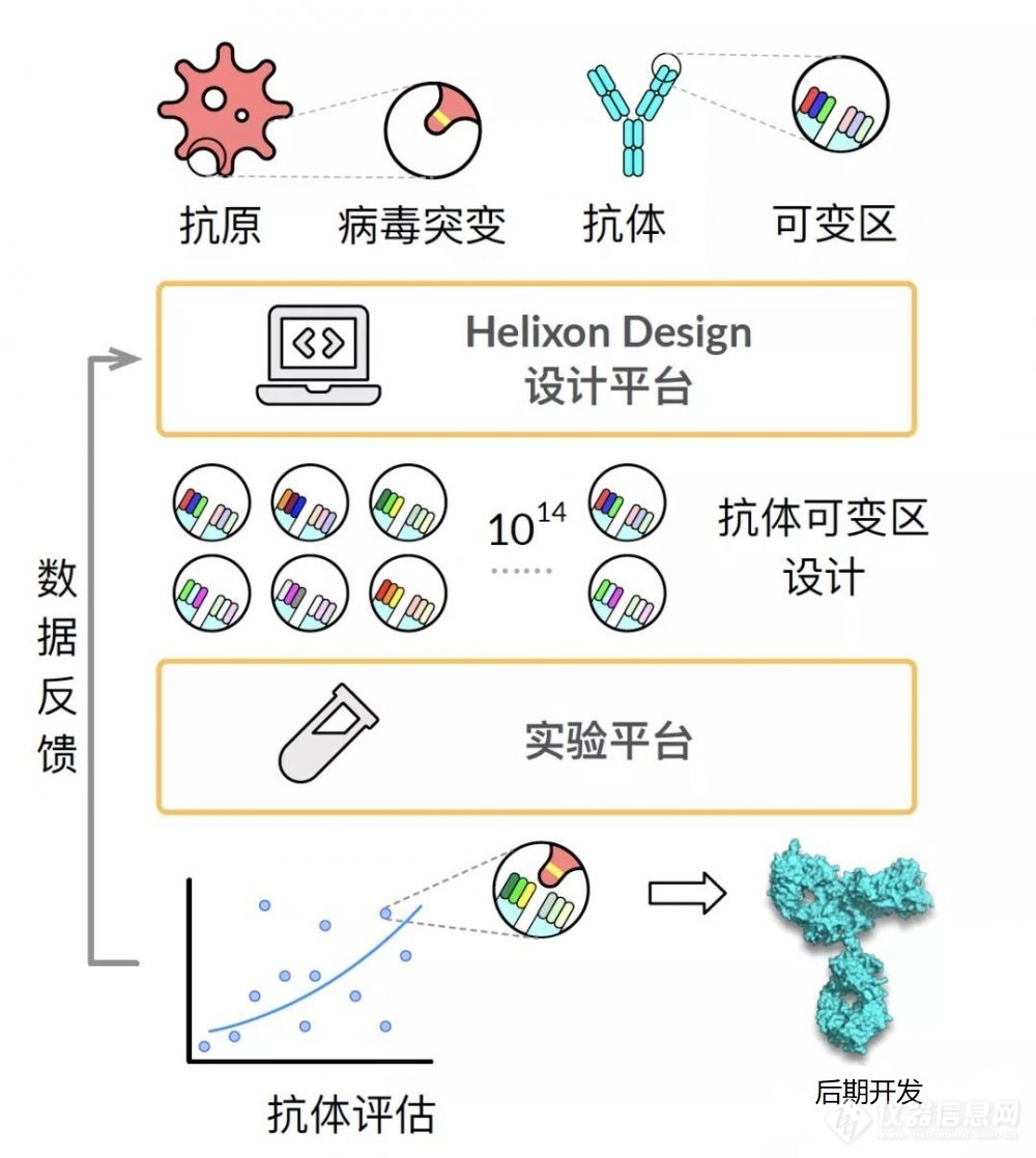 新冠抗体研发新突破！华深智药与清华团队通力合作